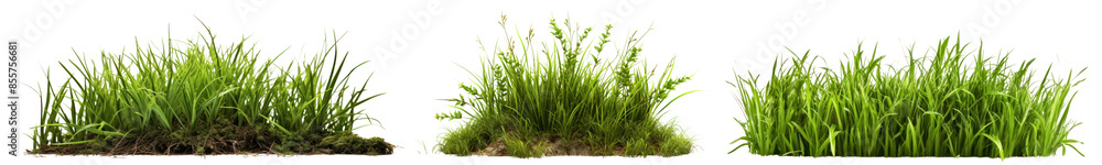 PNG Nature glass cut out element set PNG Nature glass cut out element set
