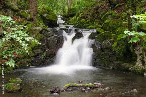 Nixenteich, Rhön