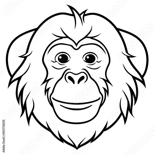 Orangutan head vector line art and linocut illustration
 photo