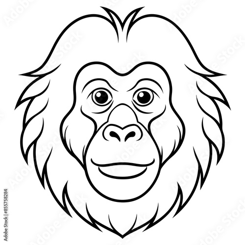 Orangutan head vector line art and linocut illustration
 photo