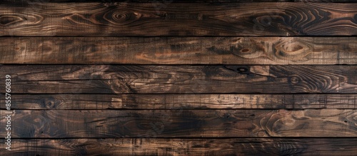 Hardwood maple viewed from above. with copy space image. Place for adding text or design