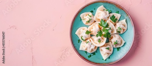 Traditional Russian dumplin...