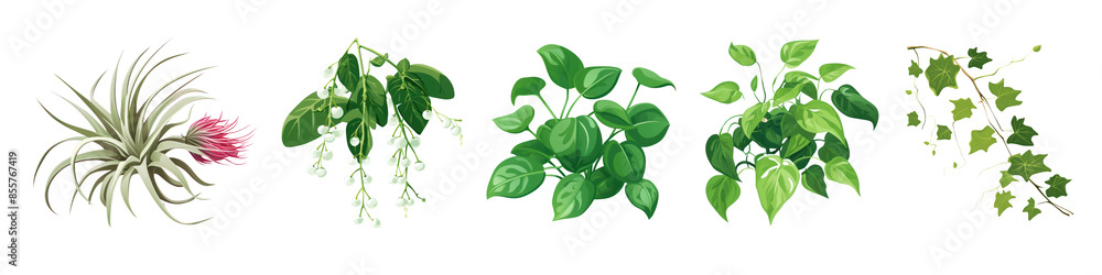 Aesthetic vector plant png cut out element set Aesthetic vector plant png cut out element set