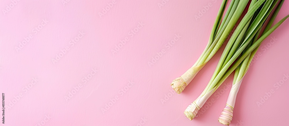 Fototapeta premium lemongrass Isolated on pastel background Food Isolated. with copy space image. Place for adding text or design