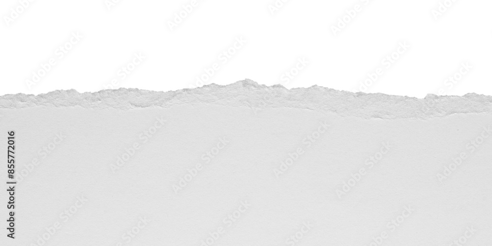 torn blank pages with uneven texture edges. set of ripped white paper sheets png isolated on transparent background. document or newspaper mockup. torn blank pages with uneven texture edges. set of ripped white paper sheets png isolated on transparent background. document or newspaper mockup.