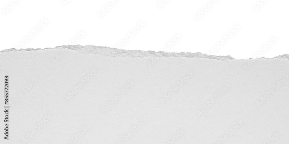 torn blank pages with uneven texture edges. set of ripped white paper sheets png isolated on transparent background. document or newspaper mockup. torn blank pages with uneven texture edges. set of ripped white paper sheets png isolated on transparent background. document or newspaper mockup.