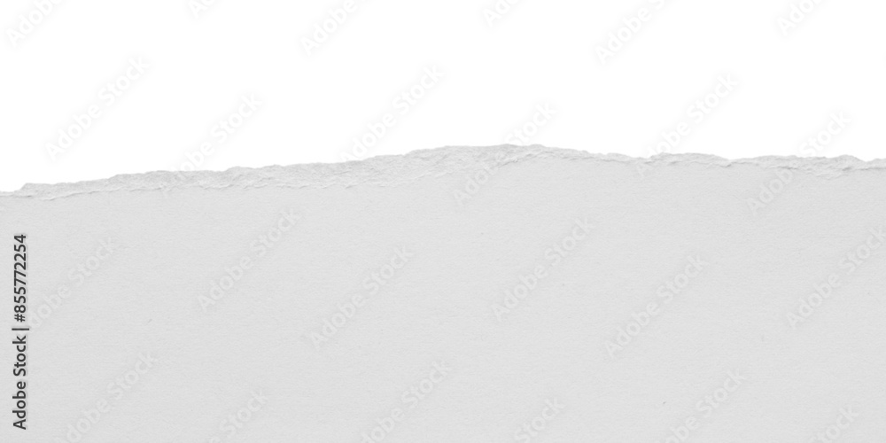 torn blank pages with uneven texture edges. set of ripped white paper sheets png isolated on transparent background. document or newspaper mockup. torn blank pages with uneven texture edges. set of ripped white paper sheets png isolated on transparent background. document or newspaper mockup.