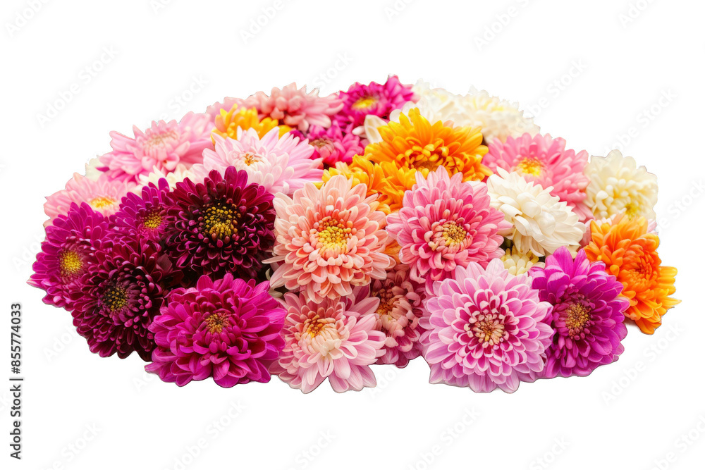 Colorful Chrysanthemum Bouquet isolated on transparent background png Colorful Chrysanthemum Bouquet isolated on transparent background png