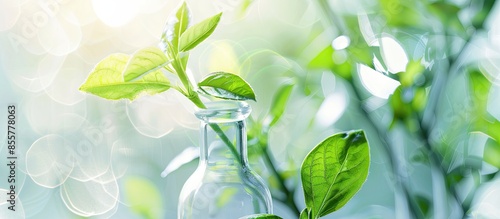 Biotechnology - Plant cultu...
