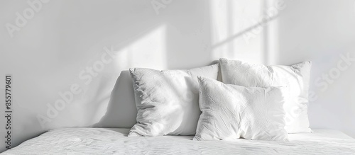 pillow path isolated on whi...