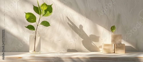 An unblown linden branch in...