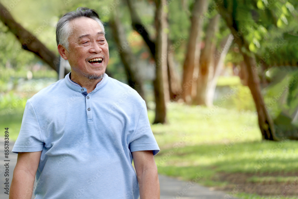 Joyful elderly Asian man taking a walk in public park at the morning. Happy senior walking to breathe fresh air outdoors in nature green garden. Active healthy elderly outside with nature backyard. Joyful elderly Asian man taking a walk in public park at the morning. Happy senior walking to breathe fresh air outdoors in nature green garden. Active healthy elderly outside with nature backyard.