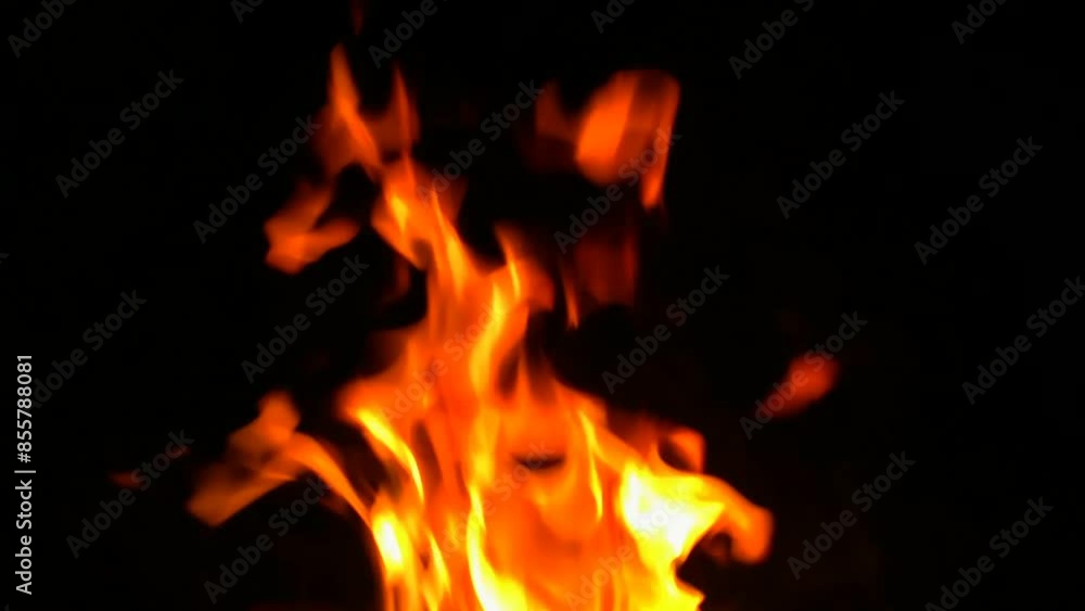 Fire flame or bonfire in the night with orange and yellow colors black background Fire flame or bonfire in the night with orange and yellow colors black background