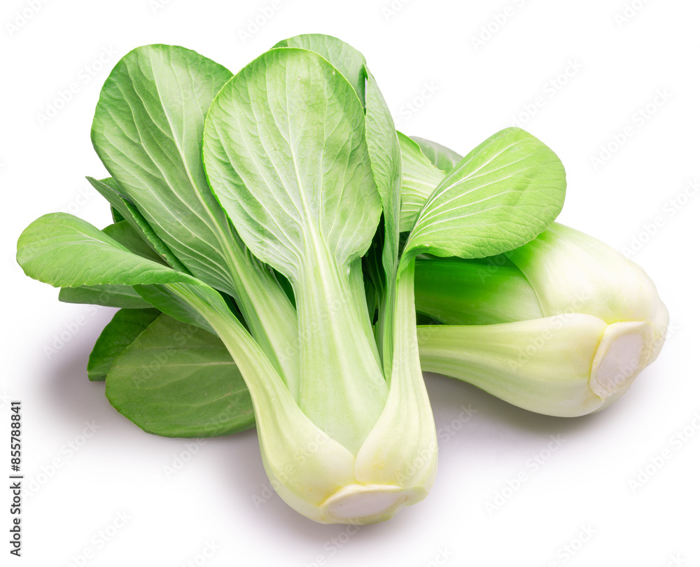Fresh bok choy or chinese cabbage isolated on white background. File contains clipping path. Fresh bok choy or chinese cabbage isolated on white background. File contains clipping path.