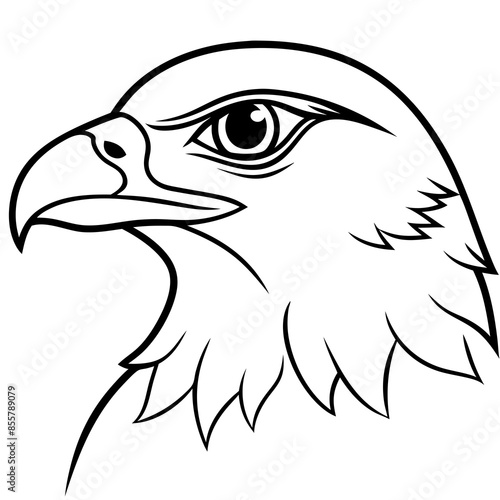 Hawk head vector line art and linocut illustration