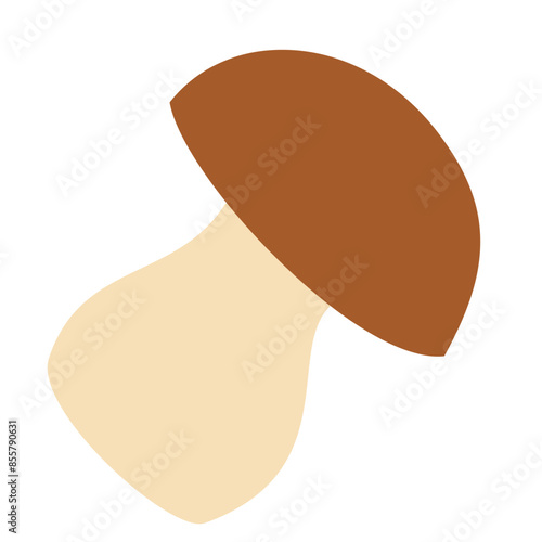 Mushroom isolated on white background, autumn vector illustration for your design.