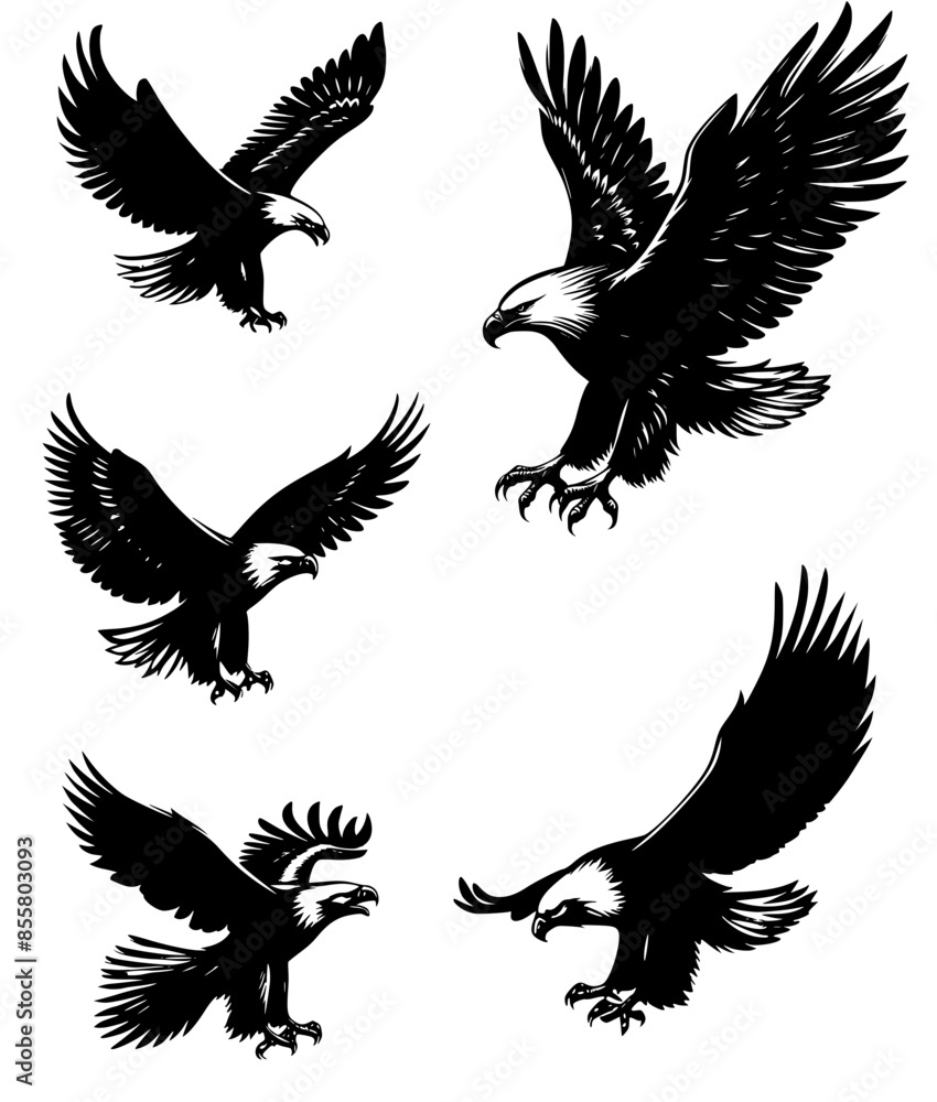 Fototapeta premium set of eagle