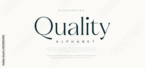 Quality Luxury serif font in modern style. Elegant wedding alphabet letters font and number. Typography Luxury classic lettering serif fonts decorative vintage retro logo concept. vector illustration