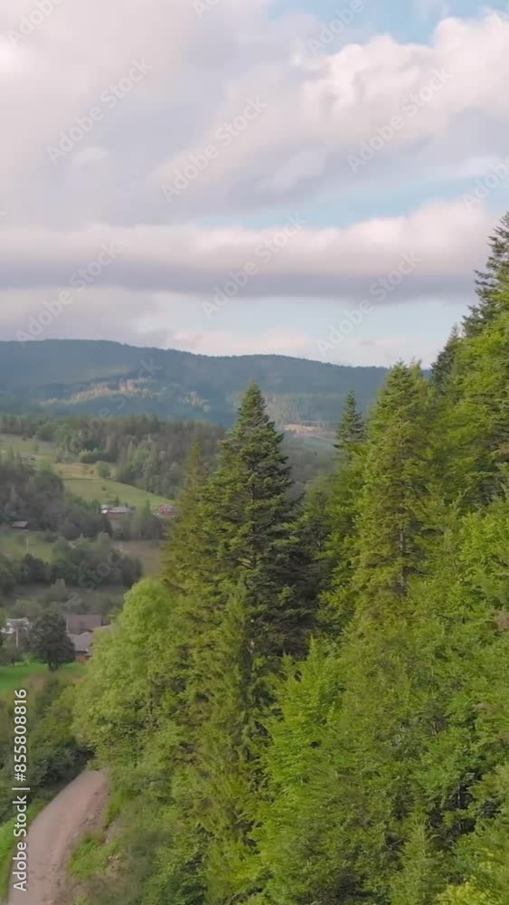 Fantastic view of mountain during summer