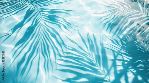 Abstract background with palm leaves shadows on water, showcasing a summer concept banner in minimalist design. Featuring light blue and white colors, this high-resolution image boasts high quality