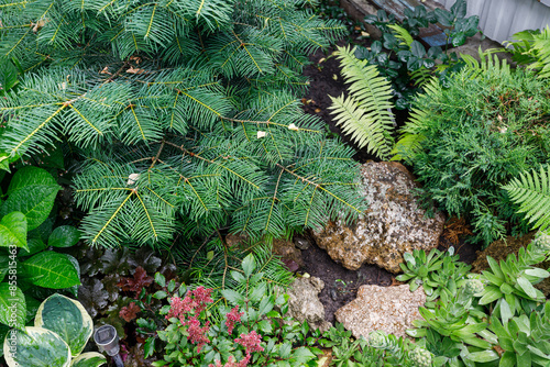 Konstfotografi Lush green garden featuring ferns and diverse plants, complemented by garden roc