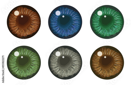The pupil of the human eye. Eyes are blue, green and brown and gray. Illustration, vector.