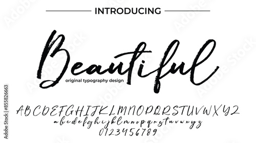 Beautiful Font Stylish brush painted an uppercase vector letters, alphabet, typeface