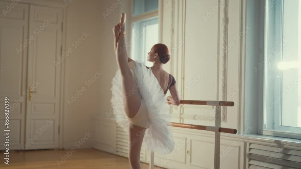 Beauty and grace of young ballerina practicing in ballet hall, back view. Slender pretty woman in tutu doing exercises at barre, professional ballet dancer woman, amazing beautiful body of ballerina Beauty and grace of young ballerina practicing in ballet hall, back view. Slender pretty woman in tutu doing exercises at barre, professional ballet dancer woman, amazing beautiful body of ballerina