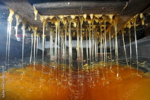 Dropping drops of sweet honey, nectar in mead. Extraction of honey from cells. Get honeys drips from bees honeycombs. honey processing illustration