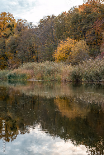 Autumnal riverside scene with golden trees and serene reflections in Ukraine
