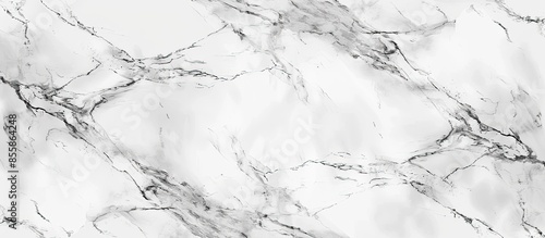 luxury of white marble text...
