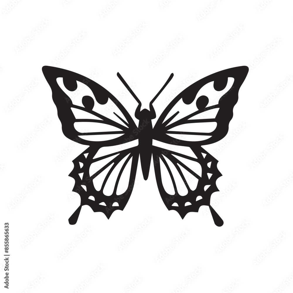 Set of realistic vector butterflies. Set of realistic vector butterflies.