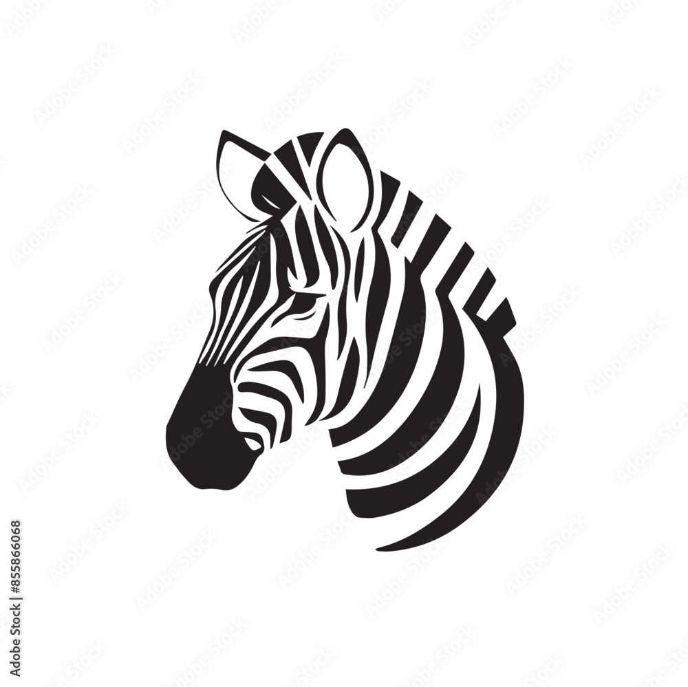 African Zebra vector arts. African Zebra vector arts.
