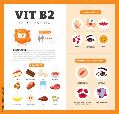 Set of vitamin B2 Infographic poster design labeled Benefit, deficiency and source dietetic organic nutrition products, Organic nutrition, food containing cottage cheese, caviar, meat, mushroom.
