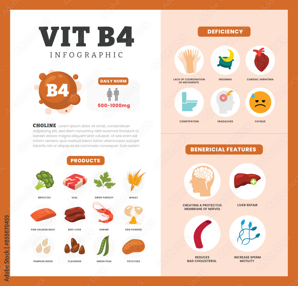 Set of vitamin B4 Infographic poster design labeled Benefit, deficiency and source dietetic organic nutrition products, Organic nutrition, food containing potato, wheat, salmon, shrimp, beef liver Set of vitamin B4 Infographic poster design labeled Benefit, deficiency and source dietetic organic nutrition products, Organic nutrition, food containing potato, wheat, salmon, shrimp, beef liver
