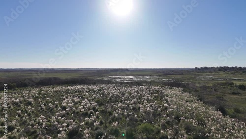 vista aérea campo argentino, pilar del este photo