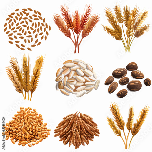 Grain