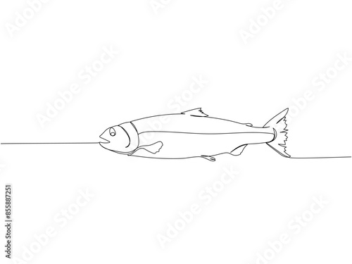 salmon, red fish, salmon oil, sea fish one line art. Continuous line drawing of farm, nature, agriculture, fish farming, fishing.