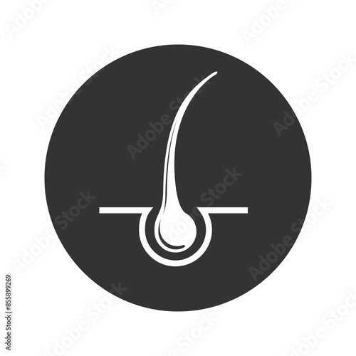 Silhouette hair follicle. Outline icon of growing hair with thin tip. Illustration for package design of shampoo, cosmetic product, stimulate growth vitamins. Flat isolated vector