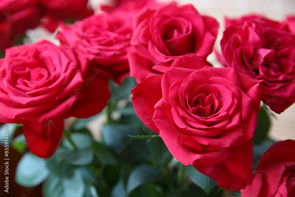 Blurred floral background. Bouquet of red roses. Blurred floral background. Bouquet of red roses.