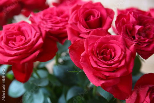 Blurred floral background. Bouquet of red roses. 