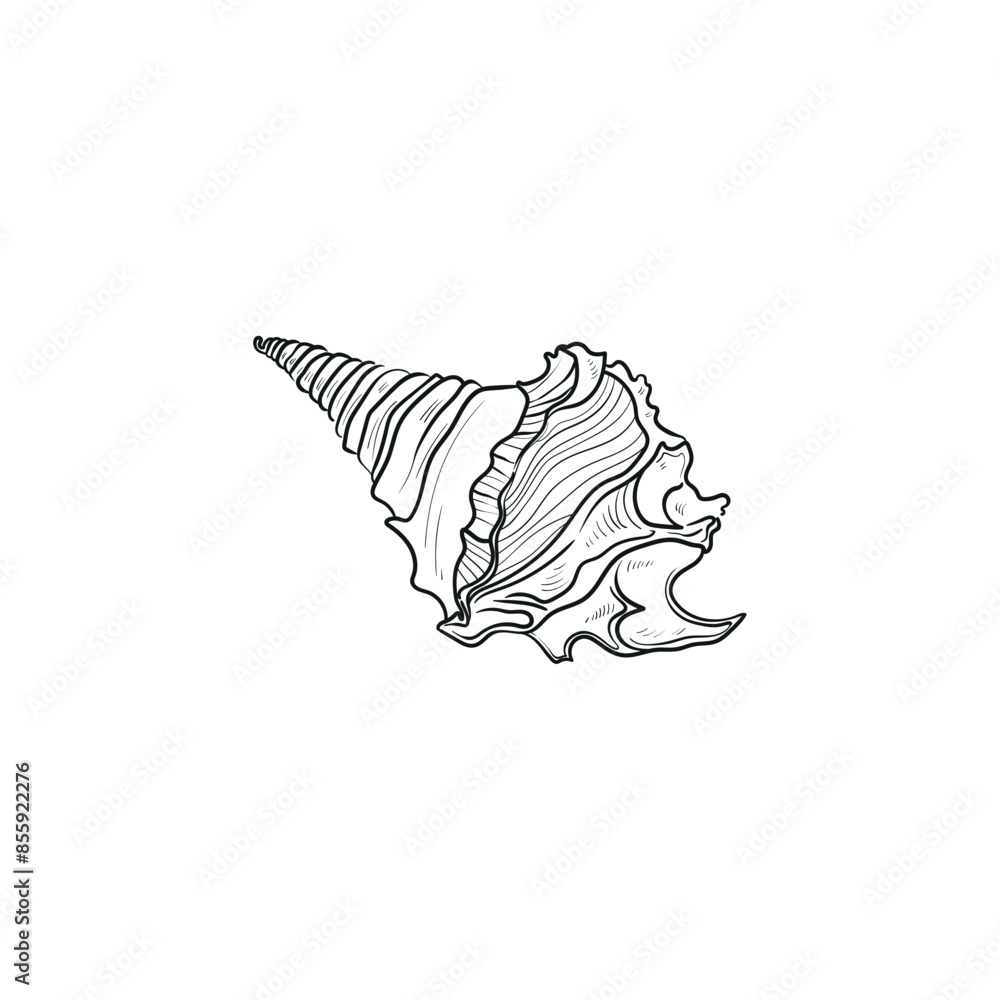 Ocean and Sea, Botanica illustration. Black ink, line, doodle style. Ocean and Sea, Botanica illustration. Black ink, line, doodle style.
