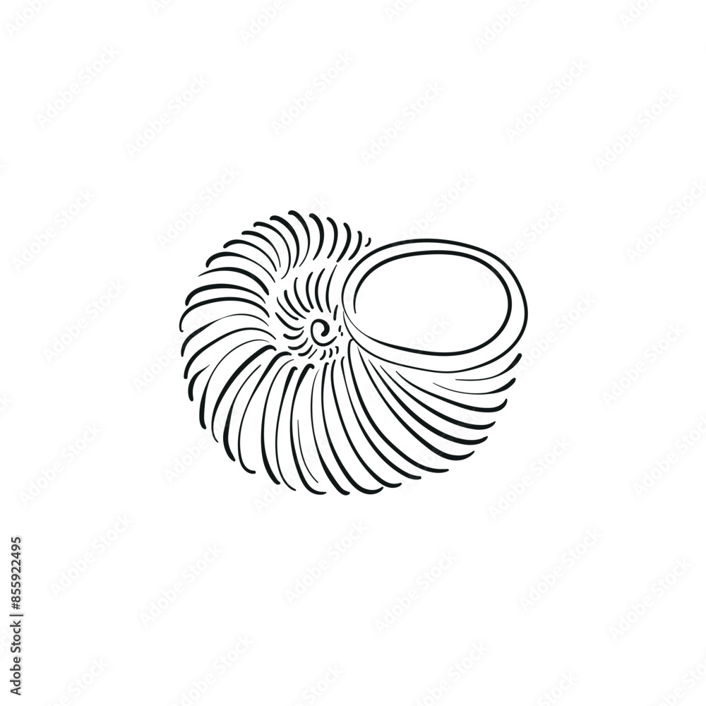 Obraz premium Ocean and Sea, Botanica illustration. Black ink, line, doodle style. 