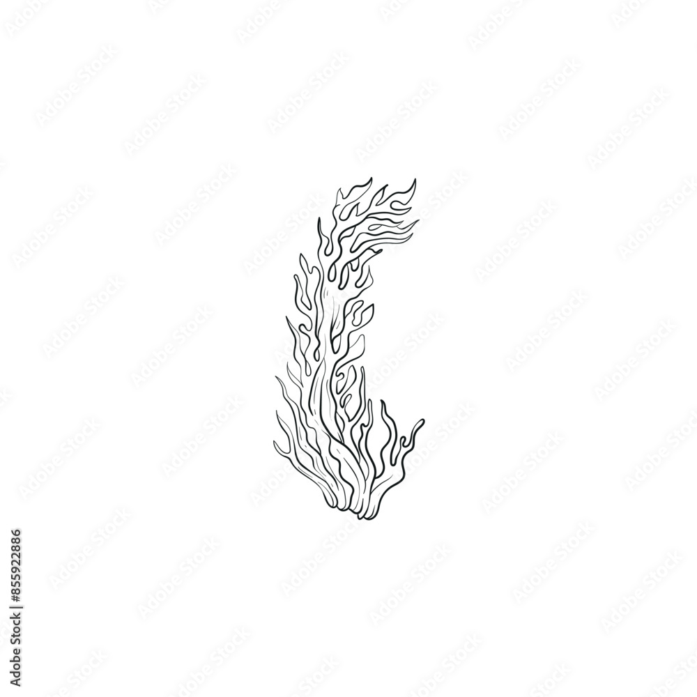 Fototapeta premium Ocean and Sea, Botanica illustration. Black ink, line, doodle style. 