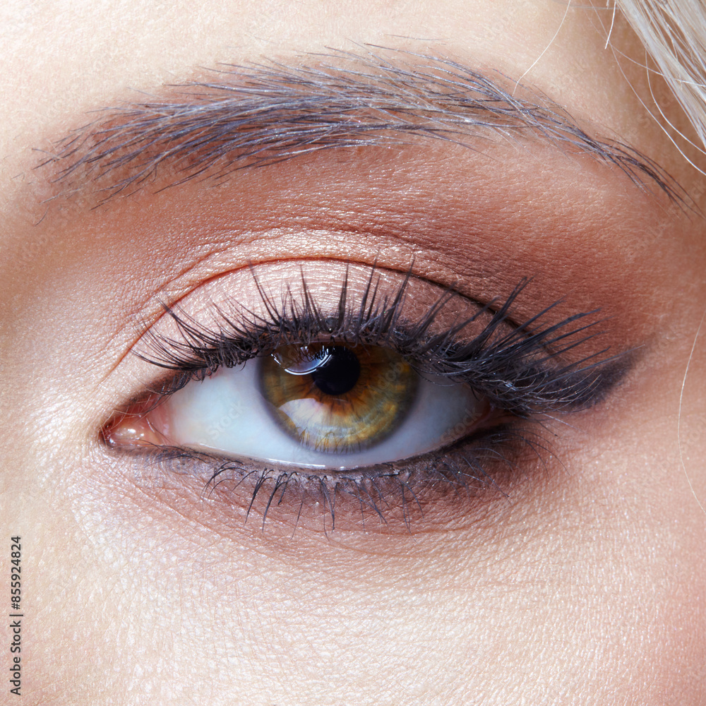 Closeup macro shot of human female eye with black arrows. Woman with natural evening vogue face beauty makeup. Closeup macro shot of human female eye with black arrows. Woman with natural evening vogue face beauty makeup.