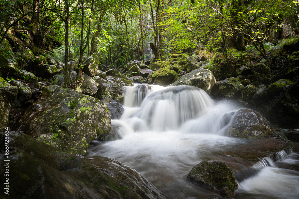 waterfall on the river in the forest