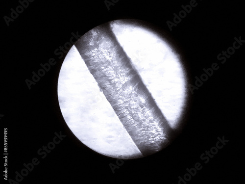 Human hair seen under an optical microscope