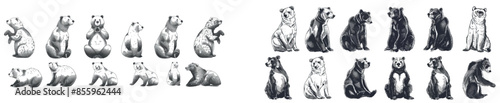 Vintage engrave isolated black bear set illustration. Asian animal silhouette modern art with grizzly bear background.