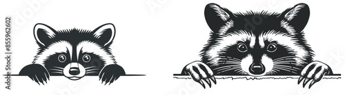A black and white illustration of a raccoon drawn in linear paint.