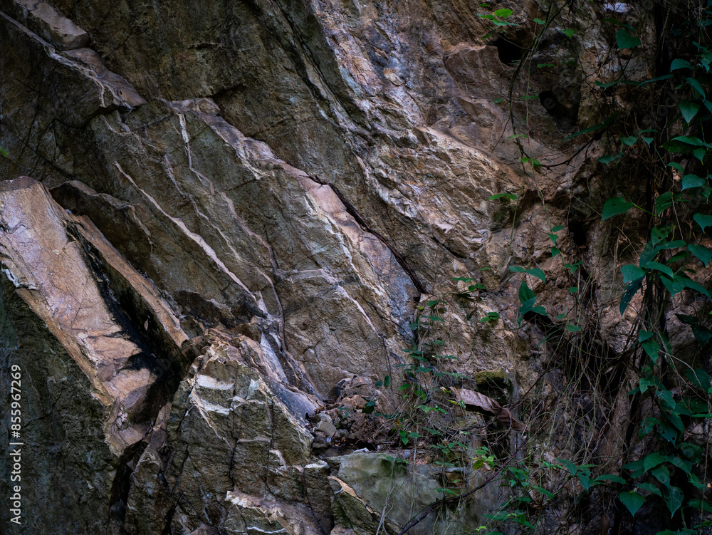 Rock Texture Rock Texture